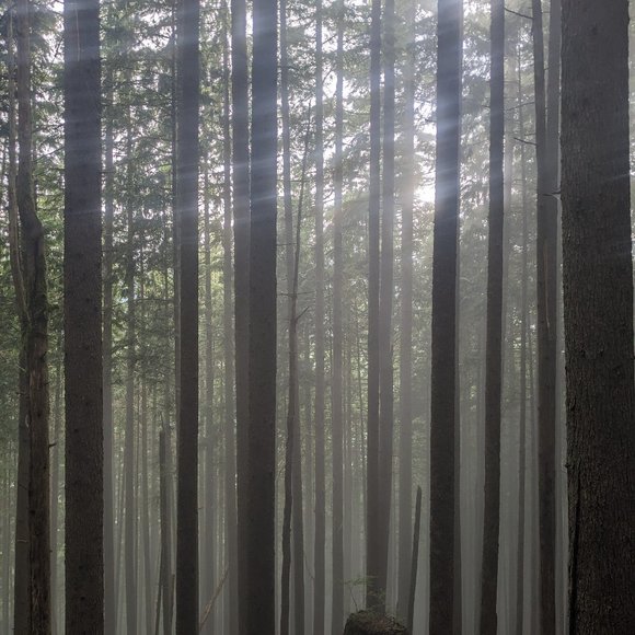 Jacket - Picture 2 of 2